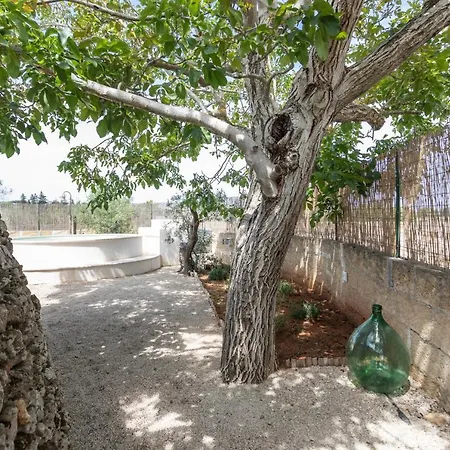 Bed & Breakfast Trullo Con Piscina Privata *